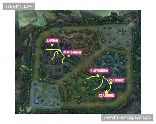 369上单战术解析与英雄选择指南 聚焦职业赛场表现及个人风格